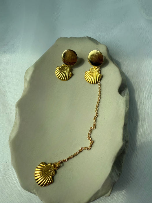 Shell Earrings