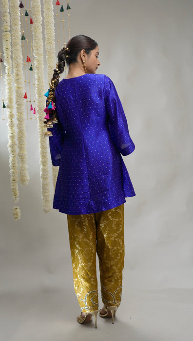 Dhara - Banarasi Kurta Set