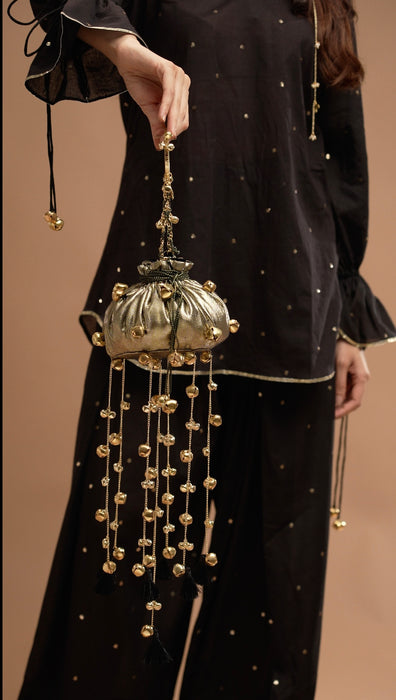 Swati Bag 2.0