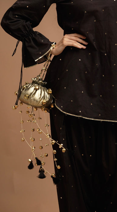 Swati Bag 2.0