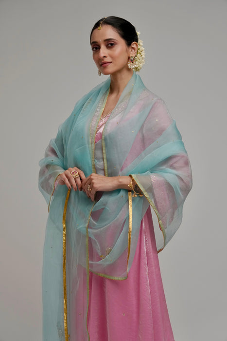 Hand Dupatta - Powder Blue