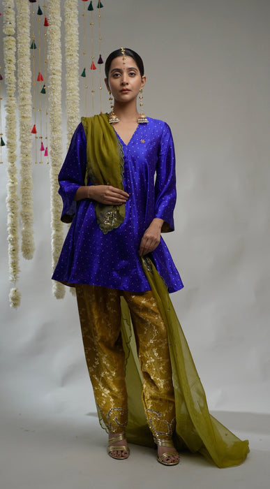 Dhara - Banarasi Kurta Set