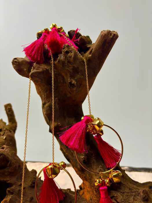 Gulabo Parandi